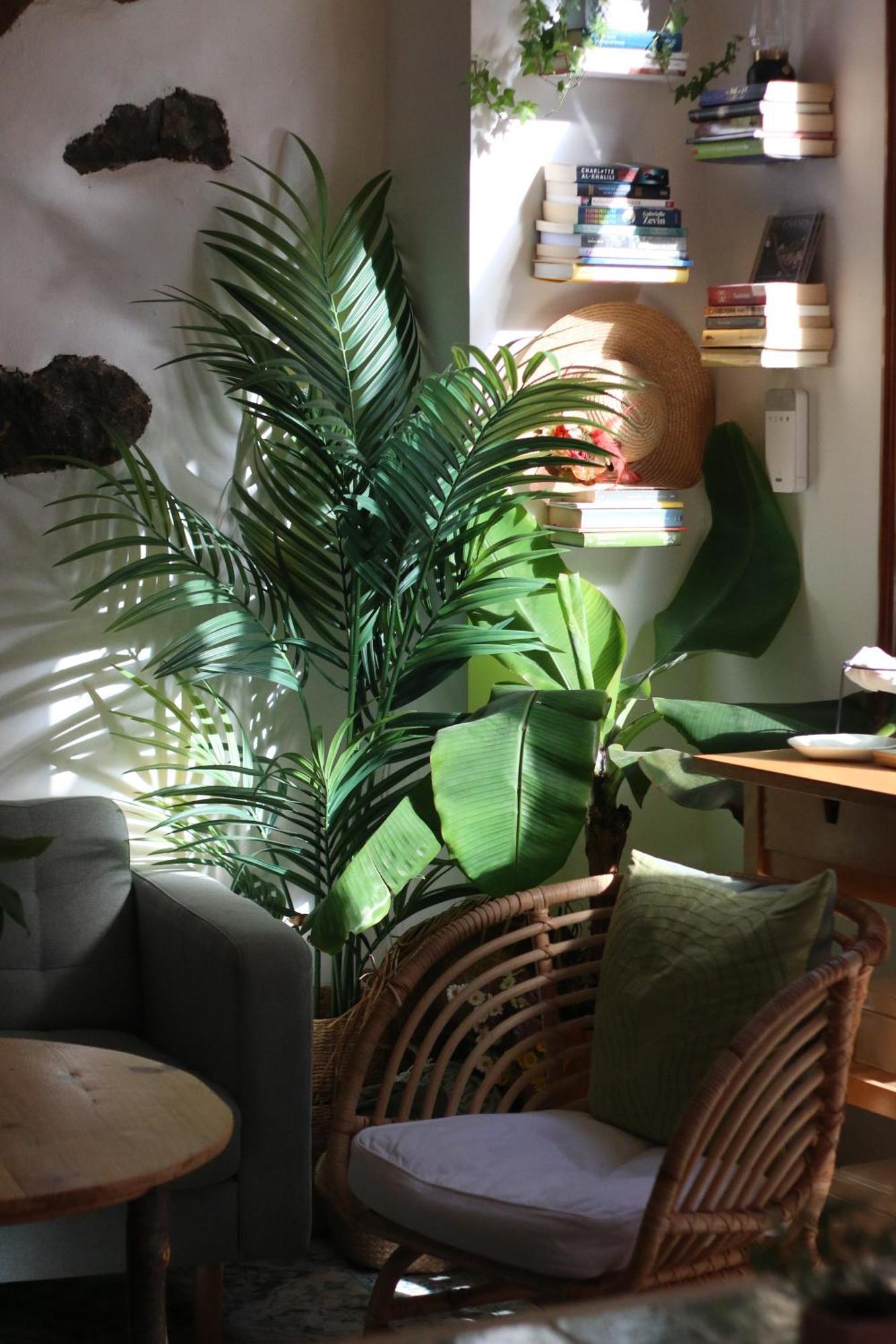 Hotel Banana Garden La Palma Santa Cruz de la Palma  Zewnętrze zdjęcie